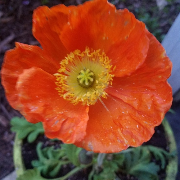 Bundle for great deal! Excepting offers - Picture 1 of 1